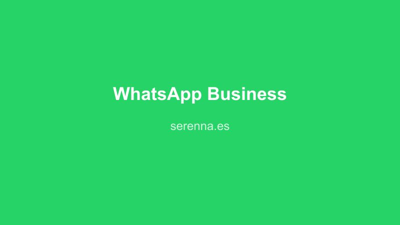 WhatsApp Business para fisioterapeutas