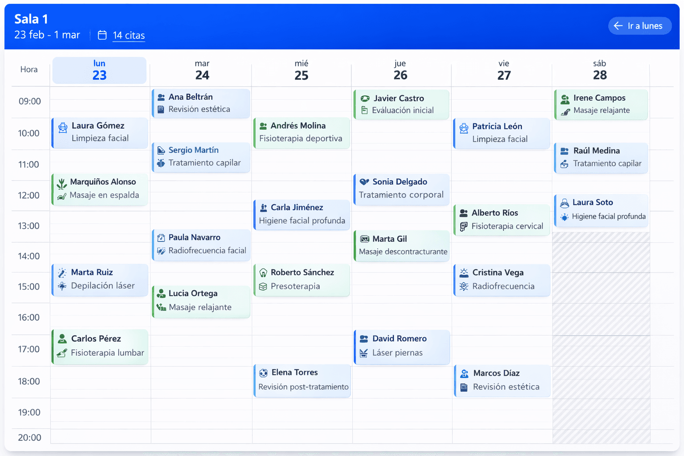 Calendario semanal por fisioterapeuta